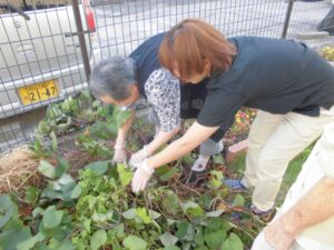 ～秋の収穫祭～どっさりですっ(笑)