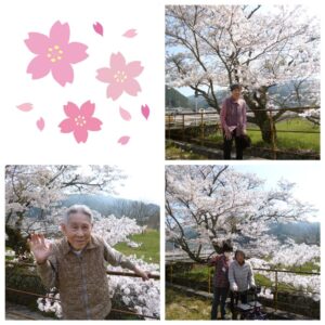 お花見🌸お花見弁当