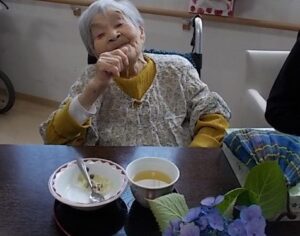 アジサイ祭り~目指せ!全国制覇!!京都編~