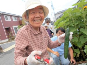 ~畑の野菜🍆創作活動~