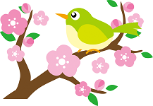 2月20日 素敵なお届け物 🎵