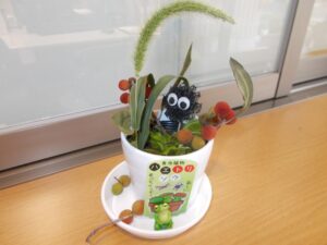 7月4日 ミニハートリンク植物園 ✿