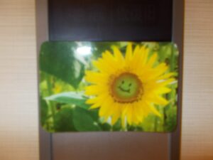 7月16日 夏が来た☀