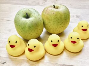 リンゴを頂きました( ´∀` )