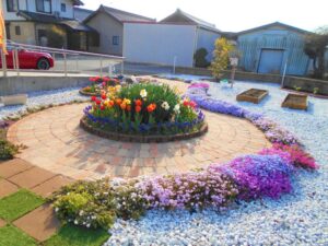 ~チューリップ🌷満開✨~