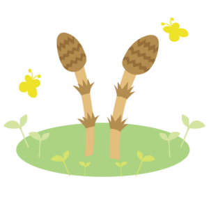 つくし&よもぎ取り🍃☆