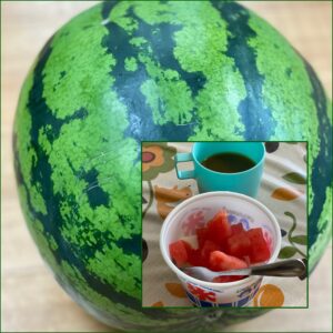今日も西瓜と桃を頂きました(* ´艸`)クスクス