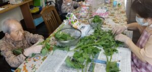 夏野菜収穫(〃艸〃)ムフッ