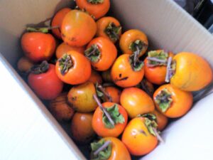 ~柿を頂きました💛✨~