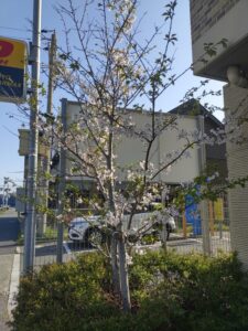 ついに令和4年4月!!