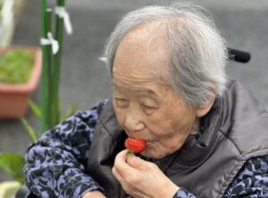 苺収穫(〃艸〃)ムフッ