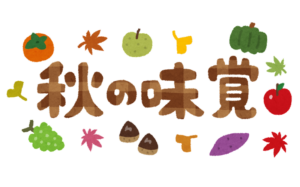 ~サツマイモ収穫🍠~