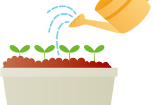 ガーデニング🌱