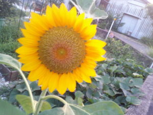 ~入居者様💛スタッフ募集中❣~