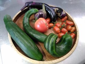 岡山北菜園続々報🥒🍅🍆