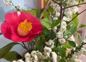 お花🌷🌼🌸のある暮らし💗