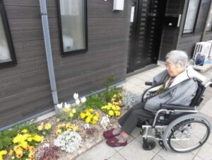 🌹花壇の植え替え🌹