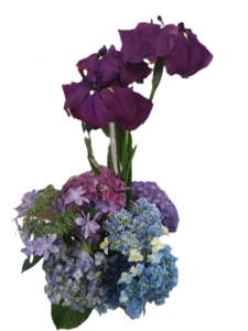 お花を頂きました