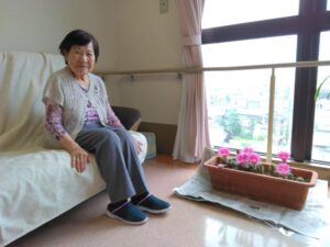 サボテンの花が咲きました