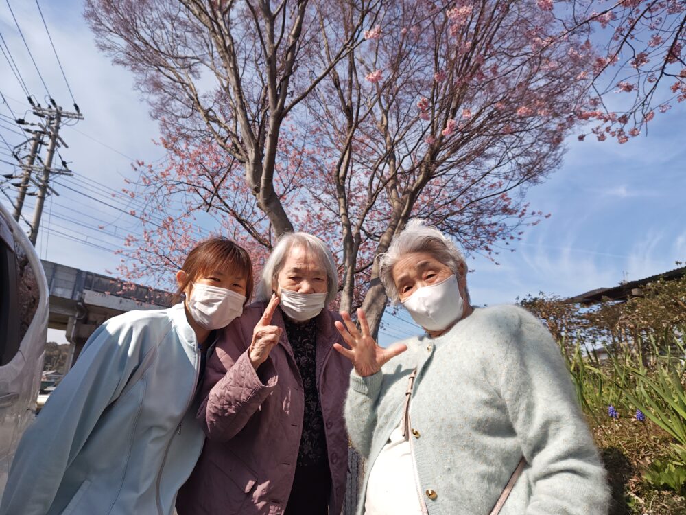 お花見ツアー御一行様🌸