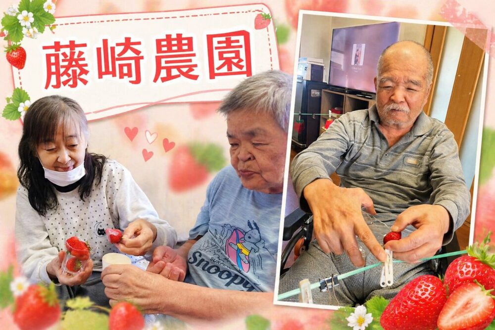 🍓藤崎農園🍓〜紅ほっぺより甘い笑顔〜