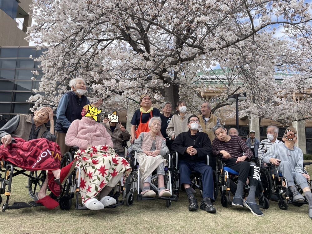 🌸春のお花見🌸in 岡山ふれあいセンター