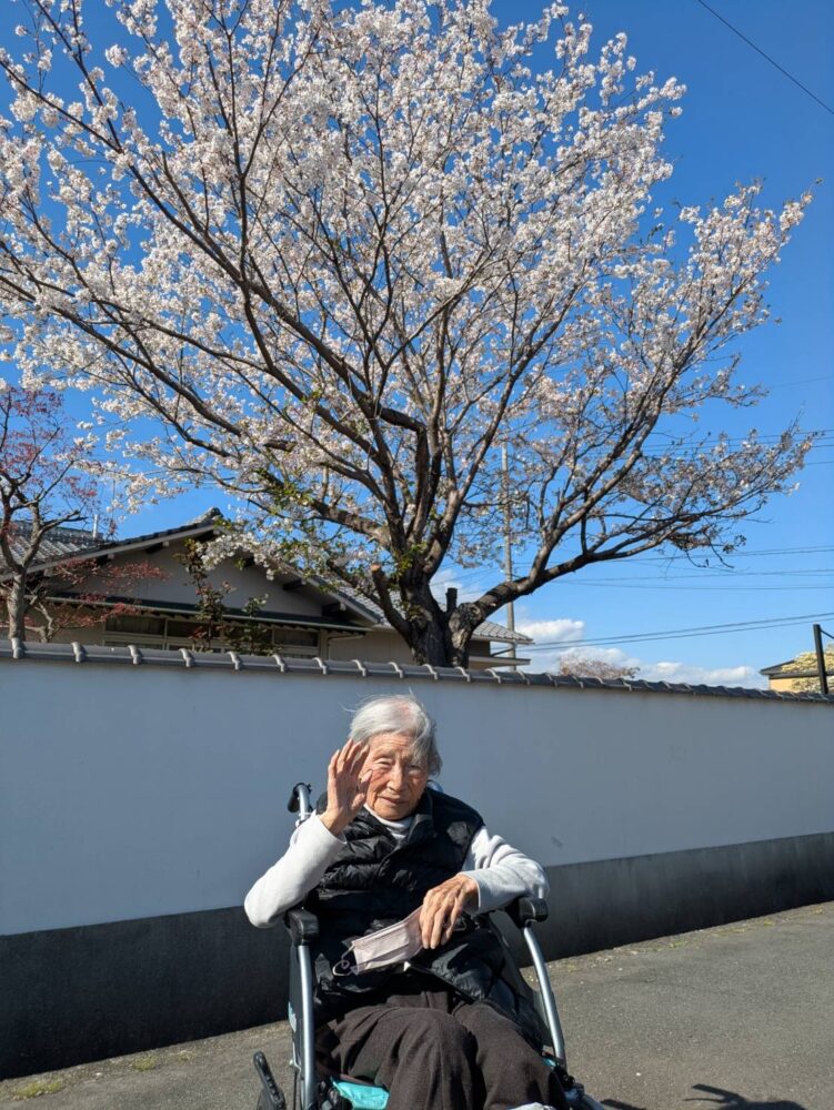 お花見散歩🌸🍃