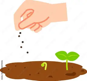 芽がでました🌱✨