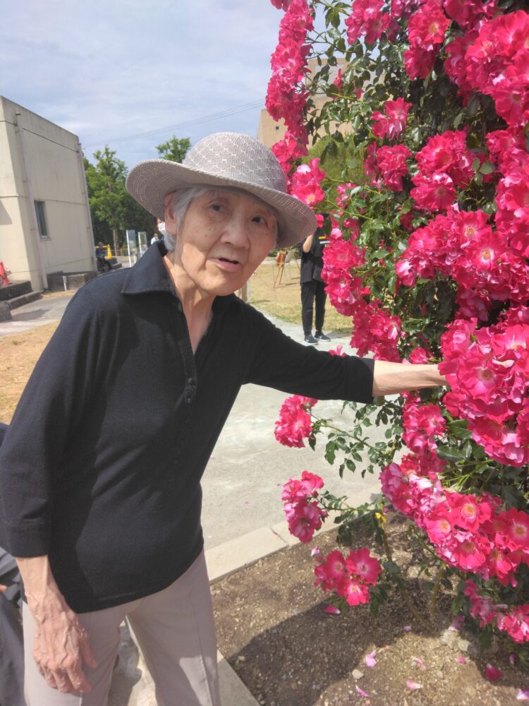 バラ園散策🌹