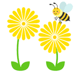 咲いた🌻