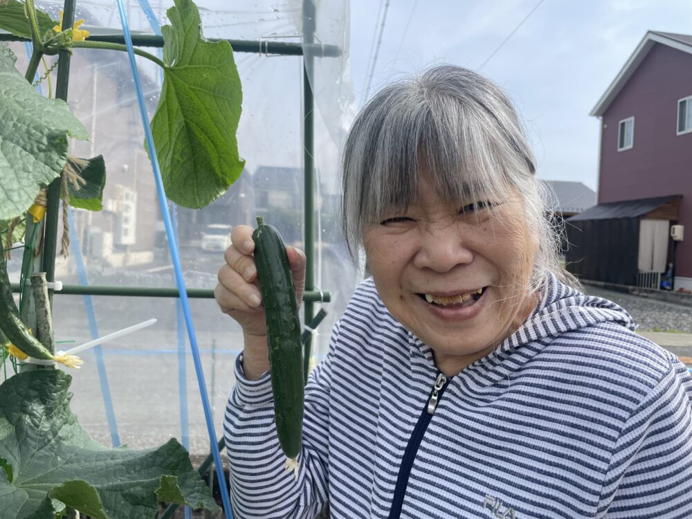 ~朝の日光浴🌞ミニトマト🍅収穫✨~