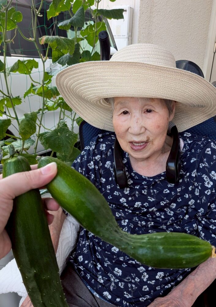 夏野菜🍅🥒🍆の歩み🌱2026ハートリンク西大寺