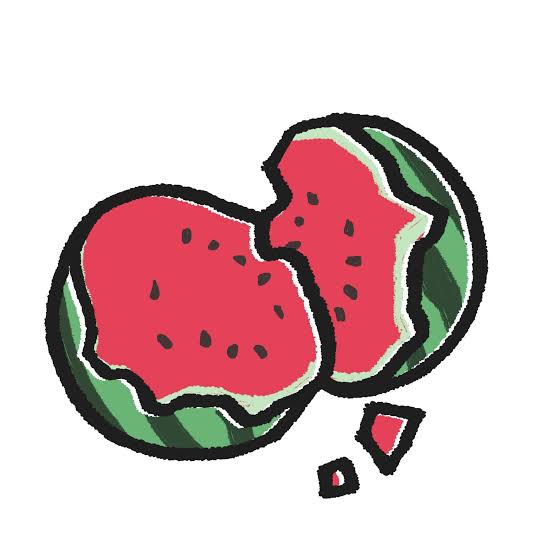 夏のお楽しみ🍉